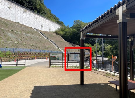 ポイント獲得場所