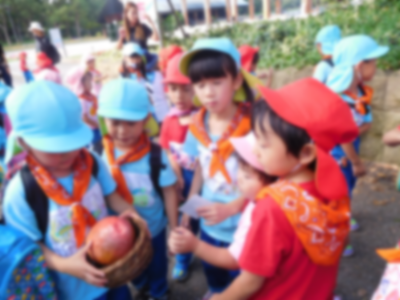 大泉緑地公園たまご発見