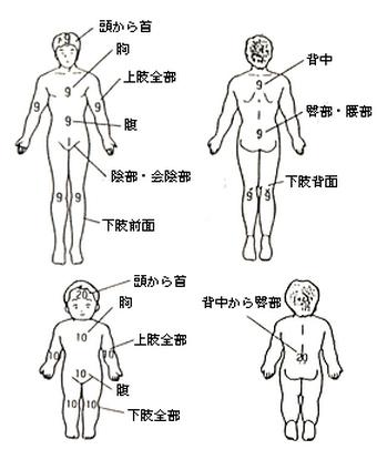 熱傷の程度の図解