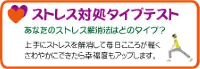 「こころの体温計」ストレス対処タイプテストの説明図