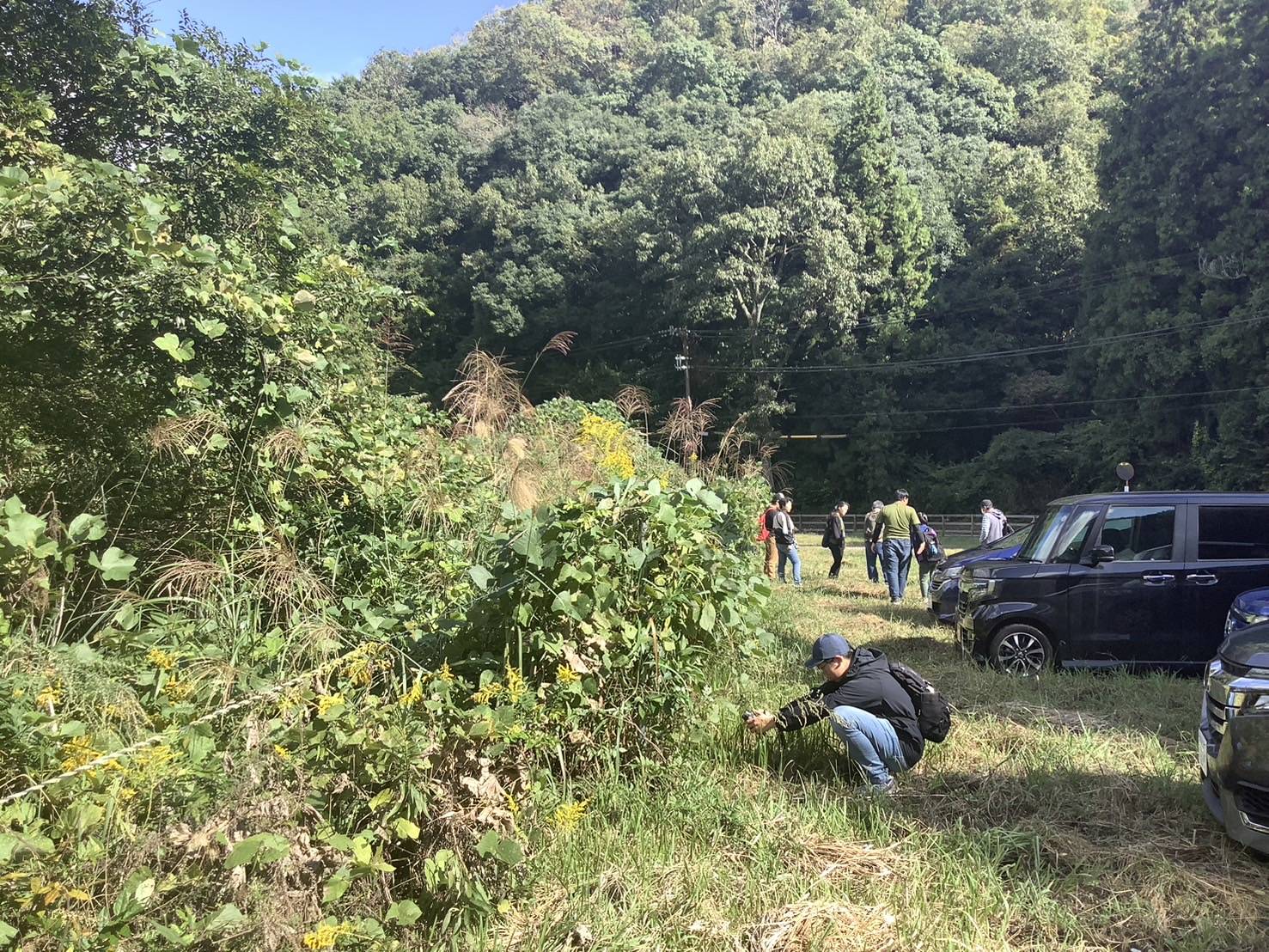 側川観察会