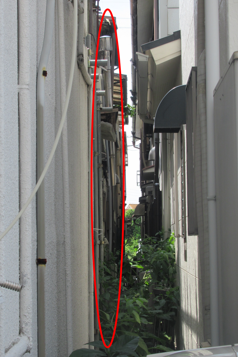 掲載写真3