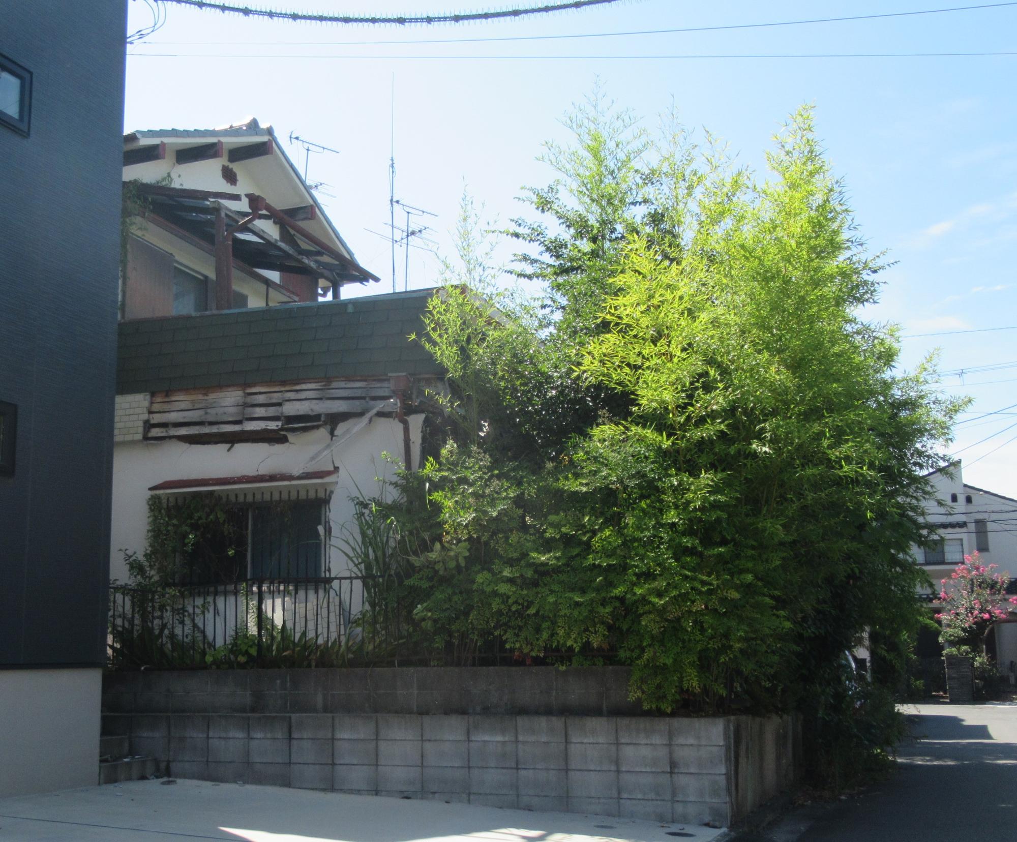 現場写真