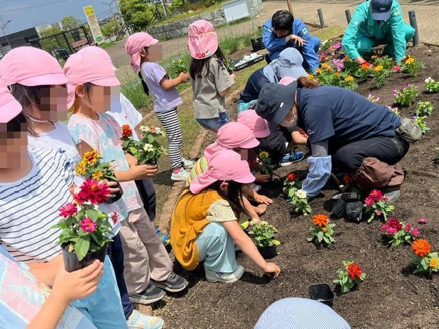 令和6年5月20日みなまつ保育園の園児が花を植える様子