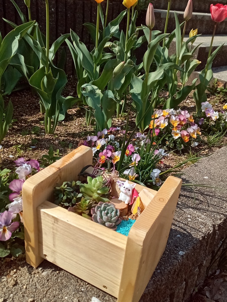 多肉植物寄せ植え体験