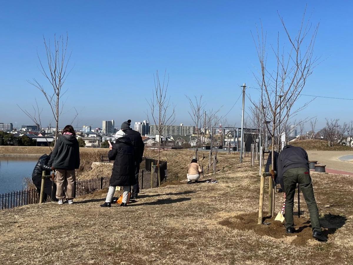 桜の植樹2