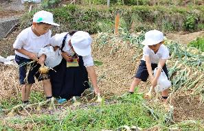 (仮称)槇尾学園イメージ