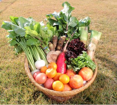 返礼品の道の駅の野菜果物