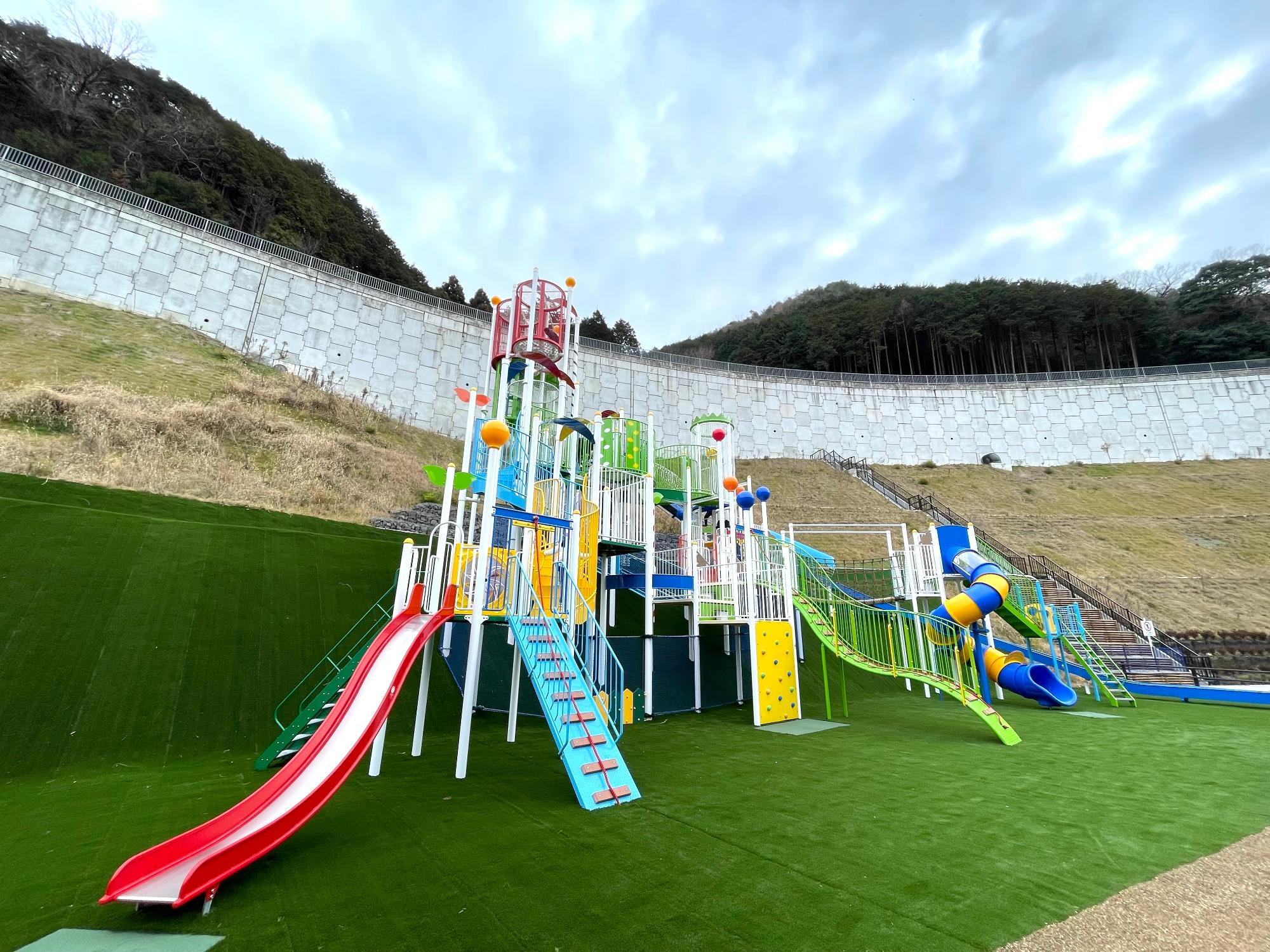 槇尾こもれびの森