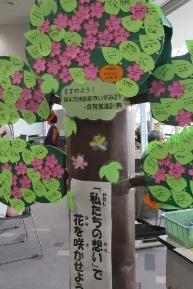 健康の樹の写真