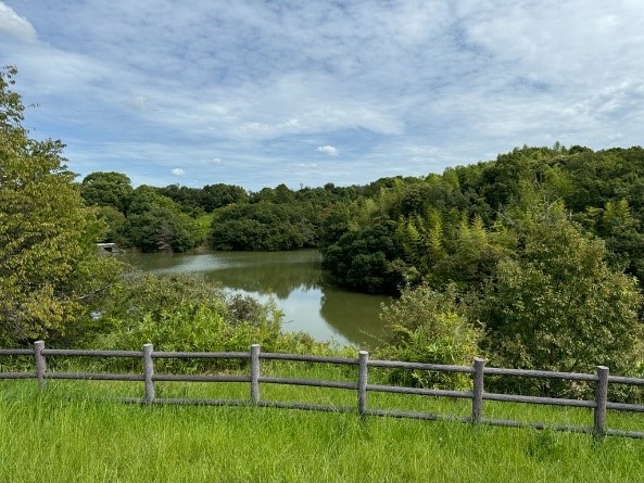 公園のイメージ画像