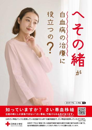 11月17日は「世界さい帯血デー」です
