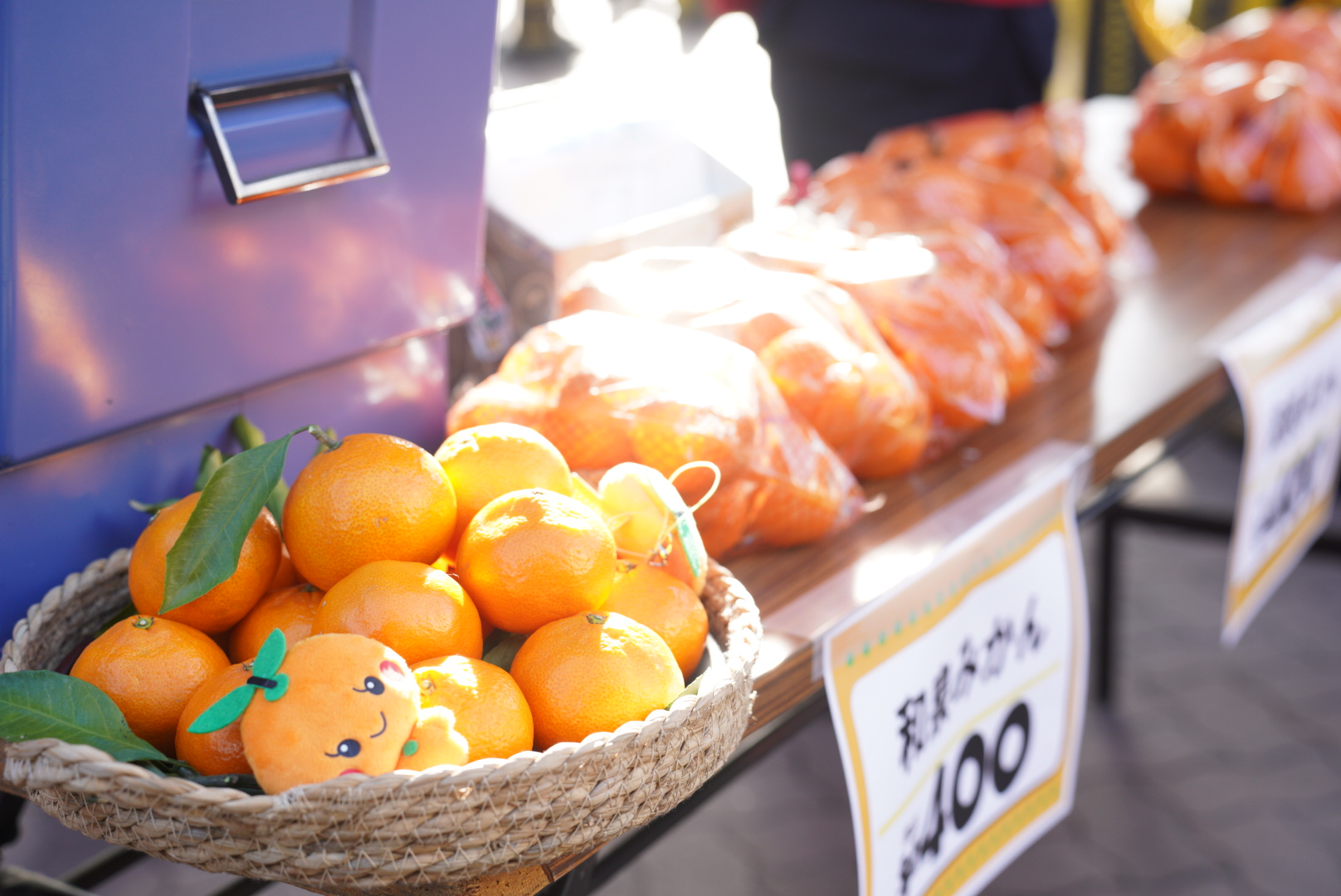 和泉みかんの即売会