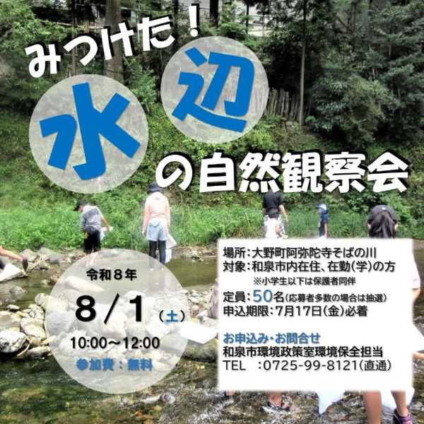 水辺の観察会