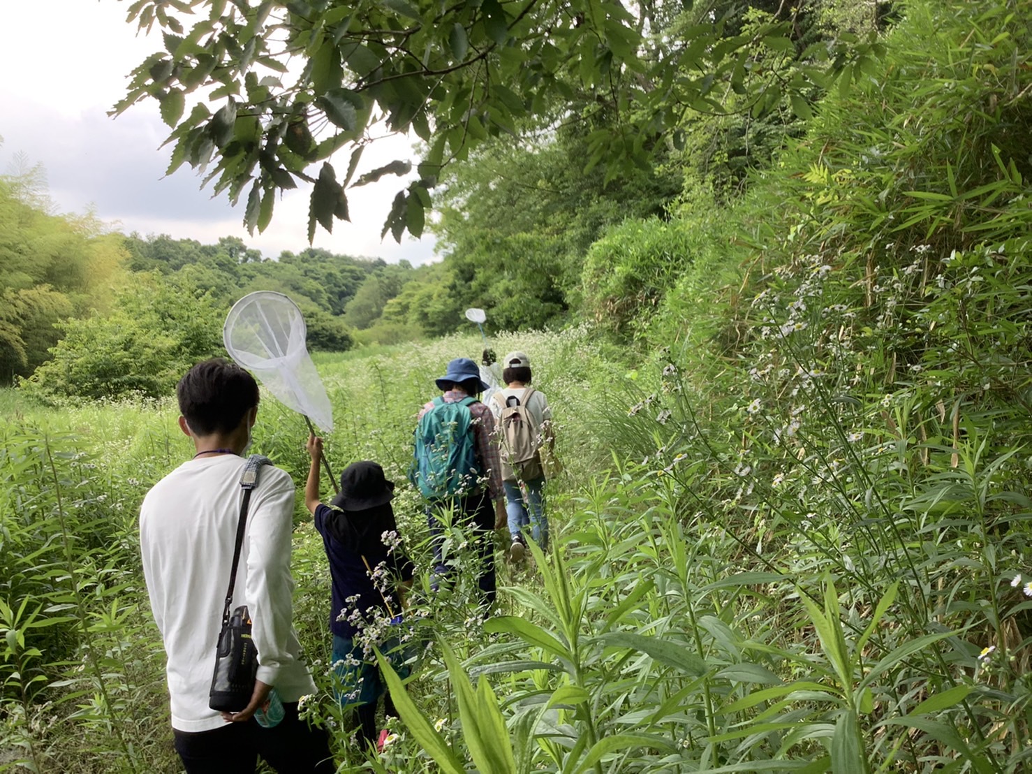 みどりのツーリズム松尾寺観察会