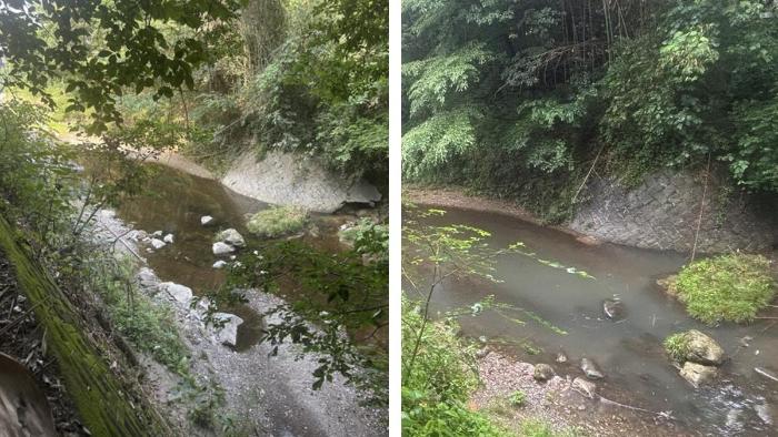 通常時の河川と油が流入した河川の写真