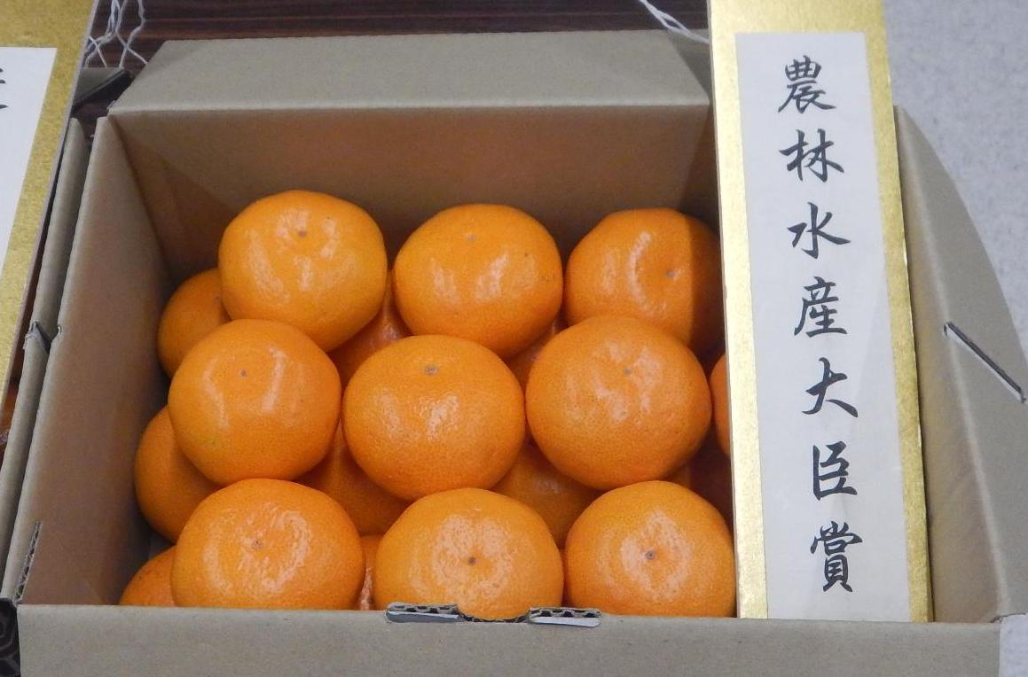 農林水産大臣賞