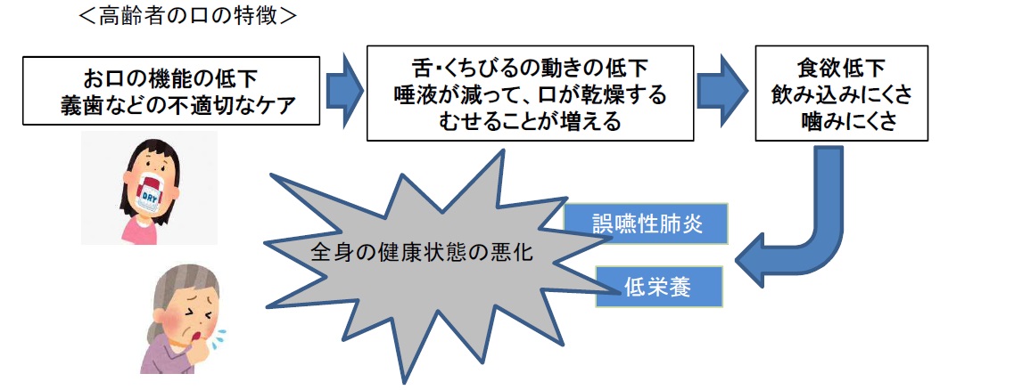 高齢者の口の特徴