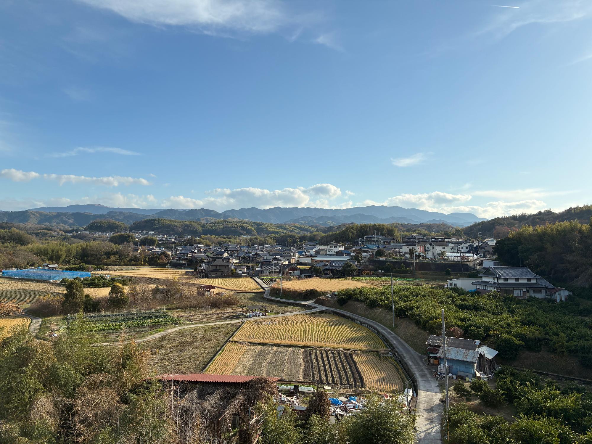 dennennfukei