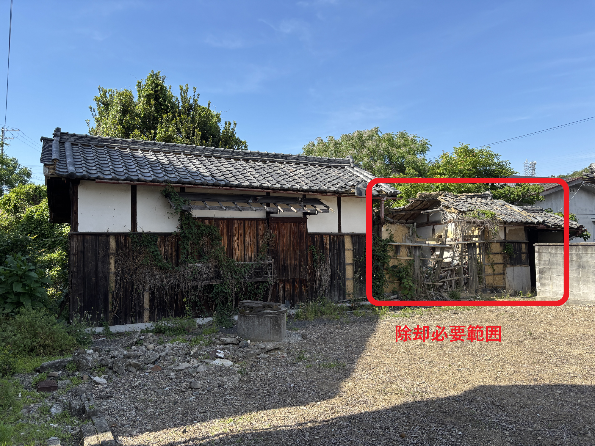 範囲写真