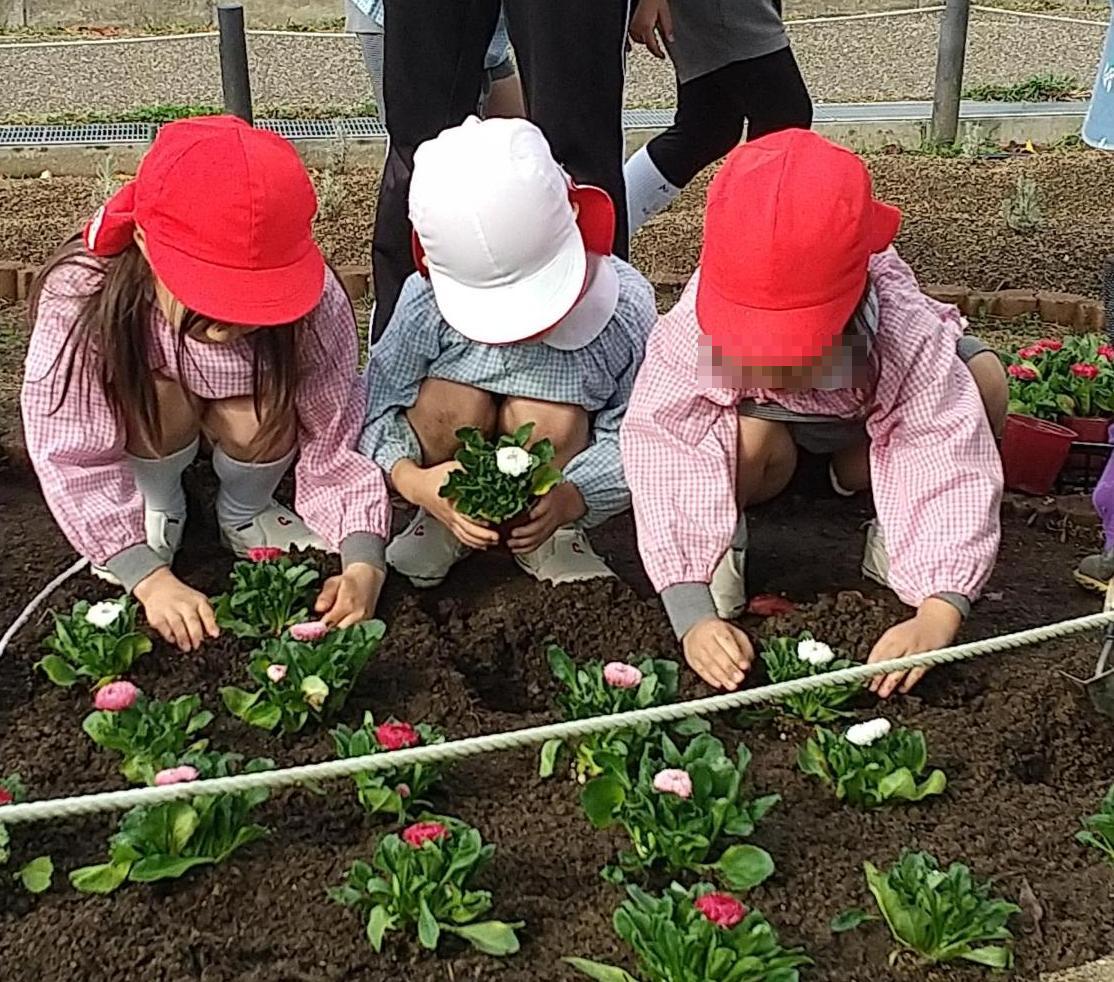 はつが野国際植樹活動 くすのき公園