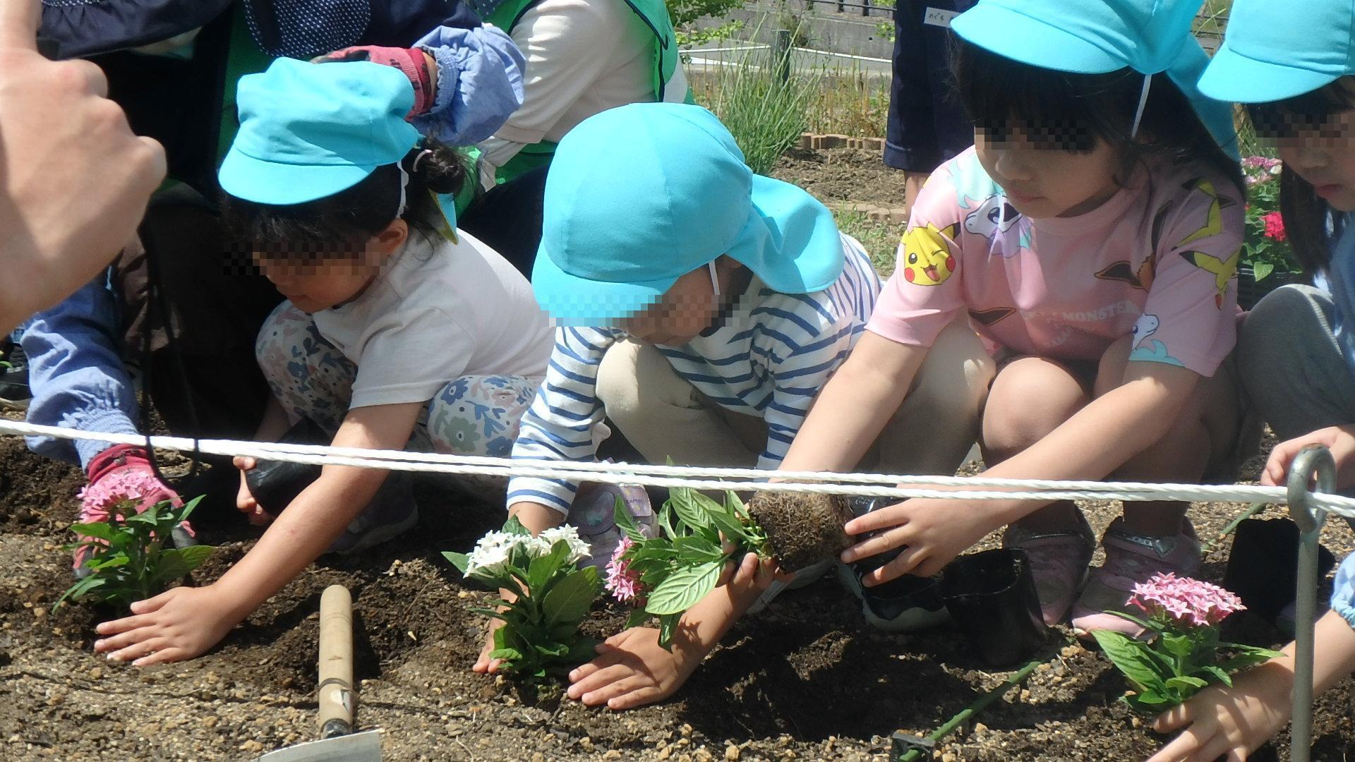 令和5年 みなまつ保育園植樹活動
