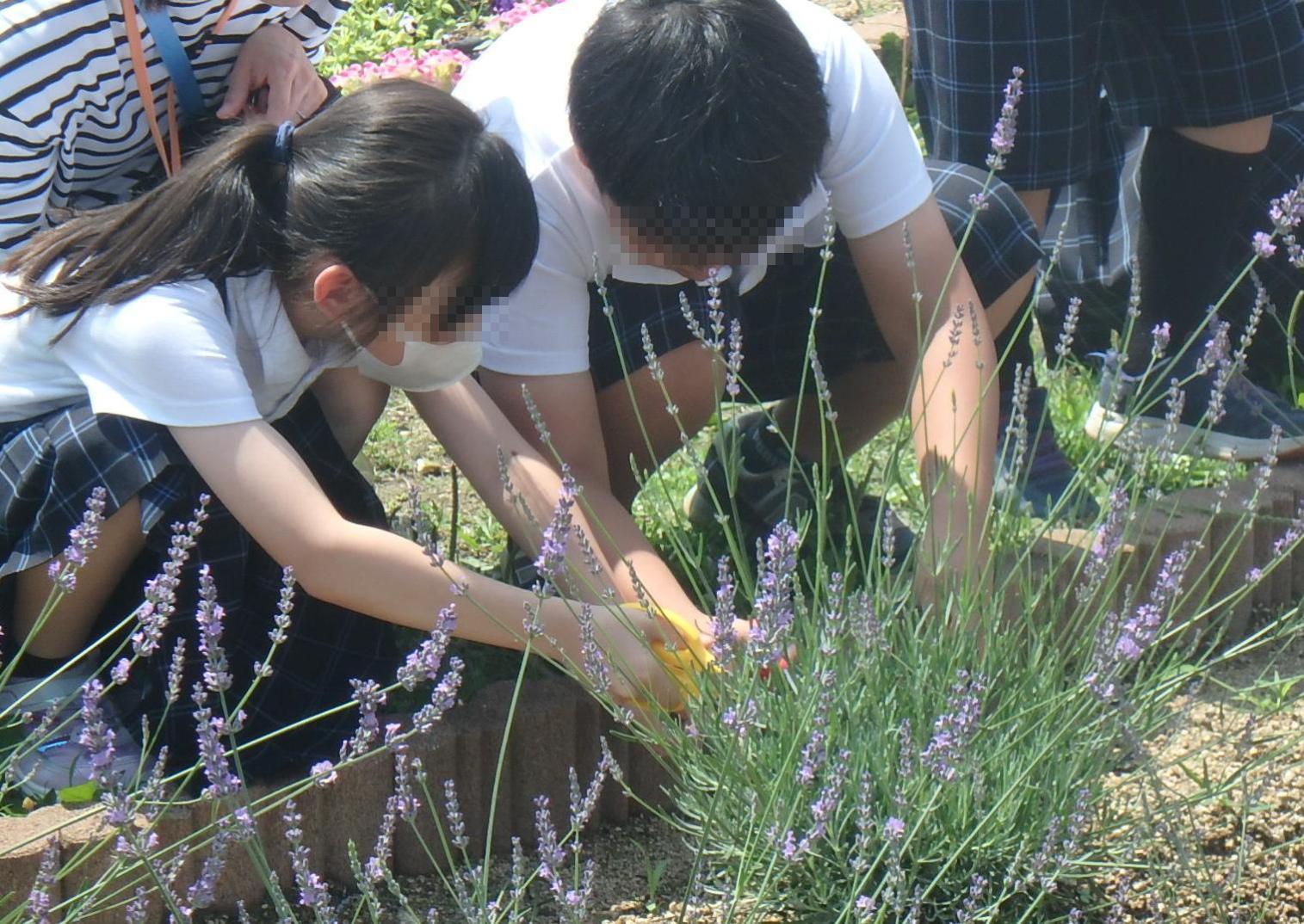 令和5年 環境学習2