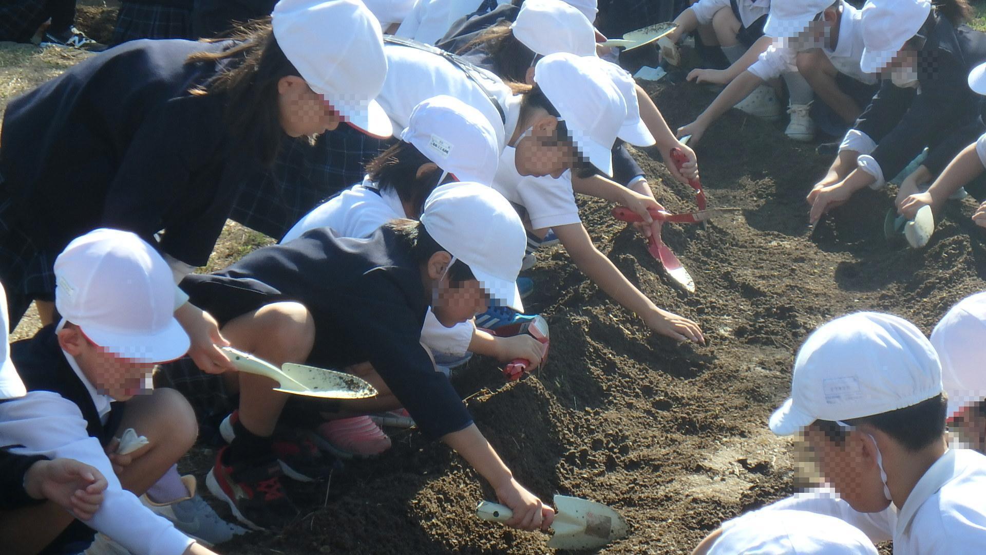 令和5年 はつが野学園 ラベンダー植樹活動