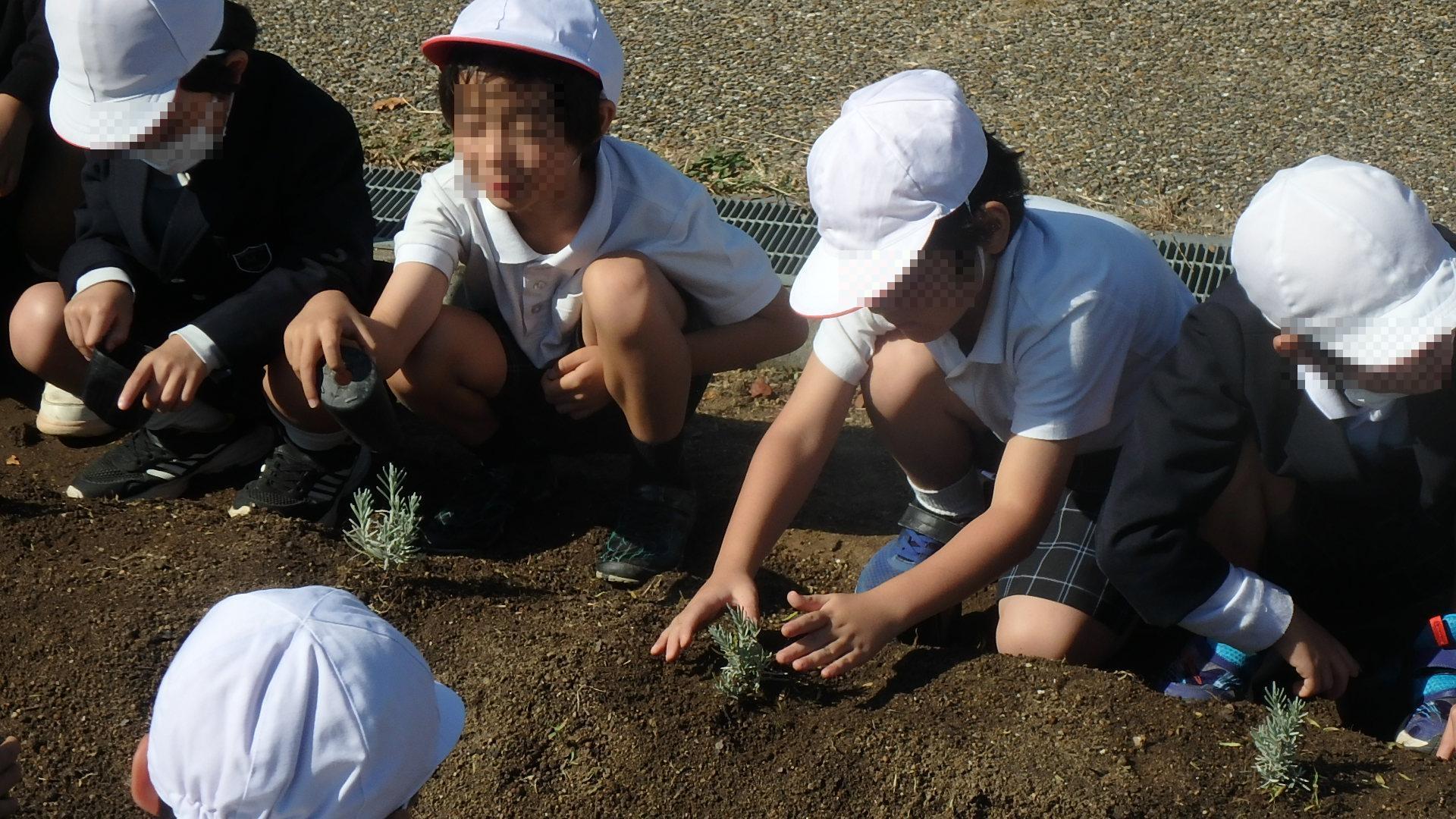 令和5年 はつが野学園 ラベンダー植樹活動2