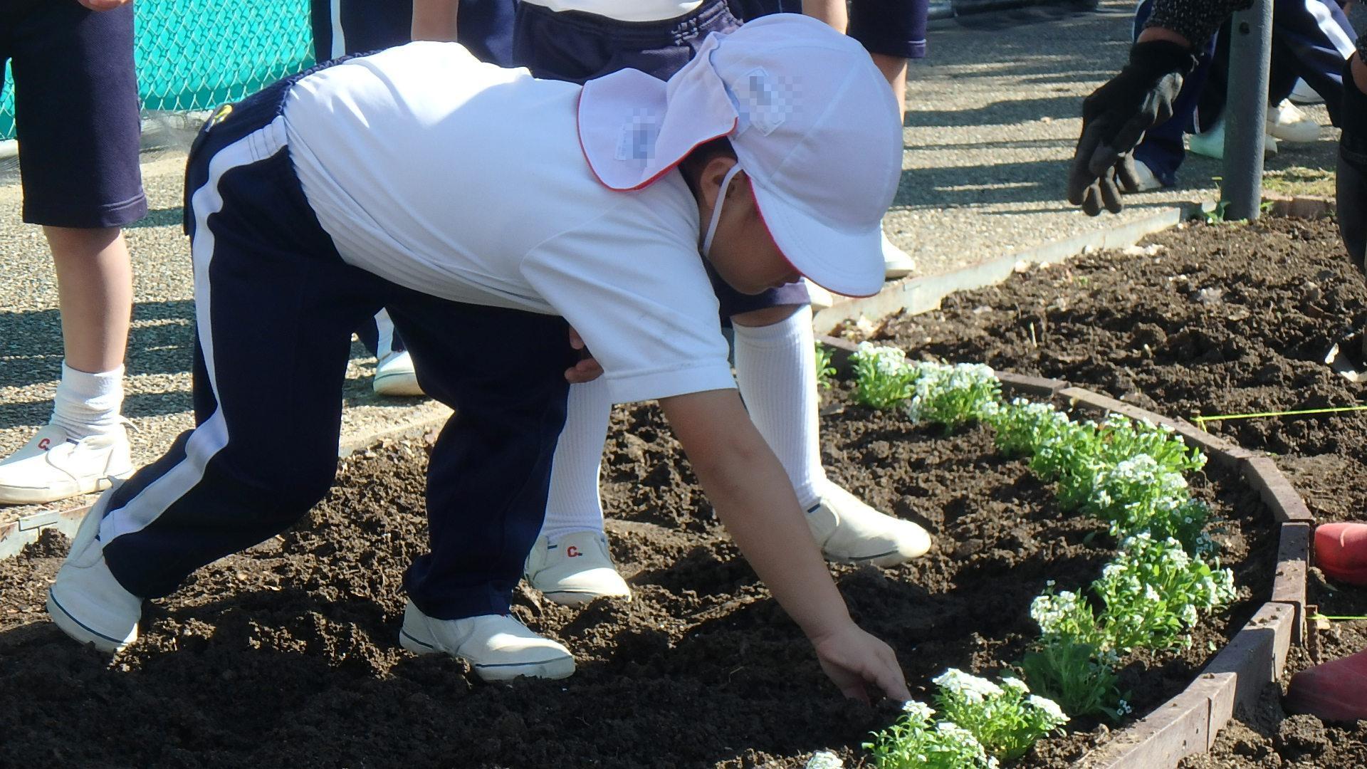 植樹活動1