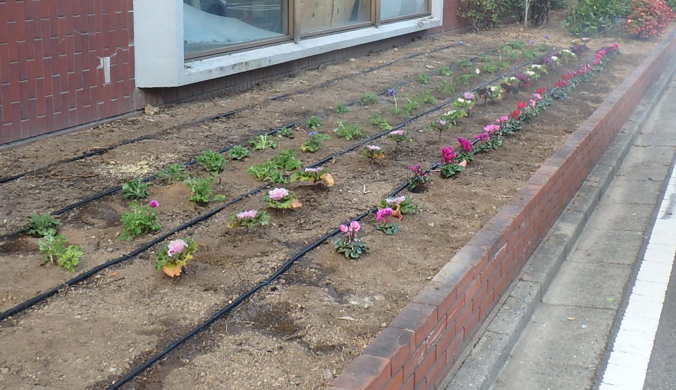 教育センター前花壇2