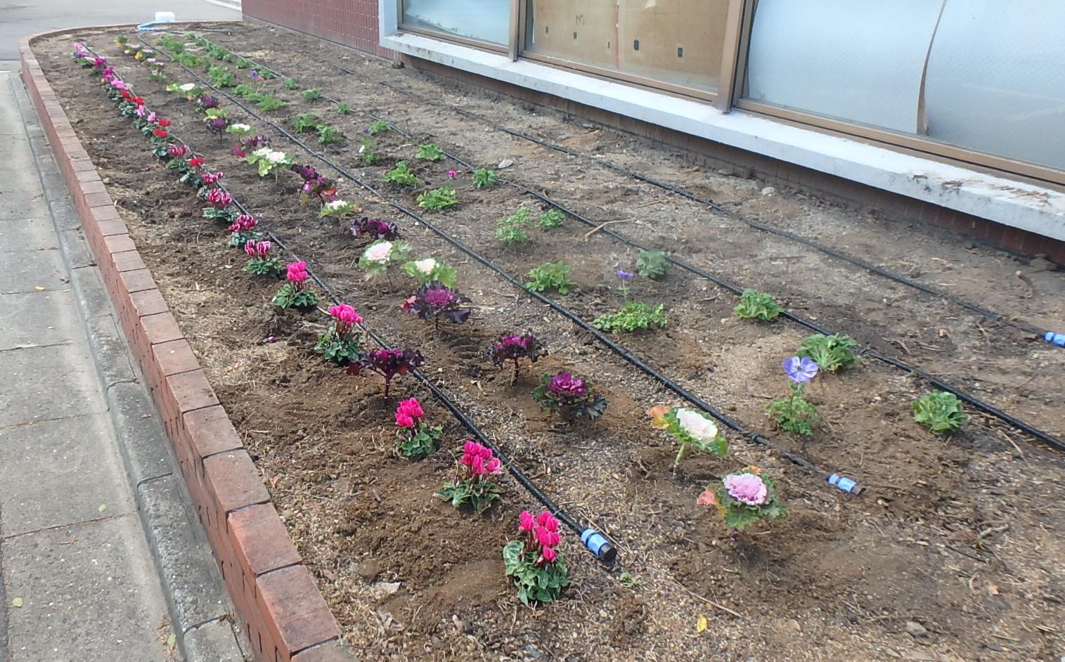 教育センター前花壇