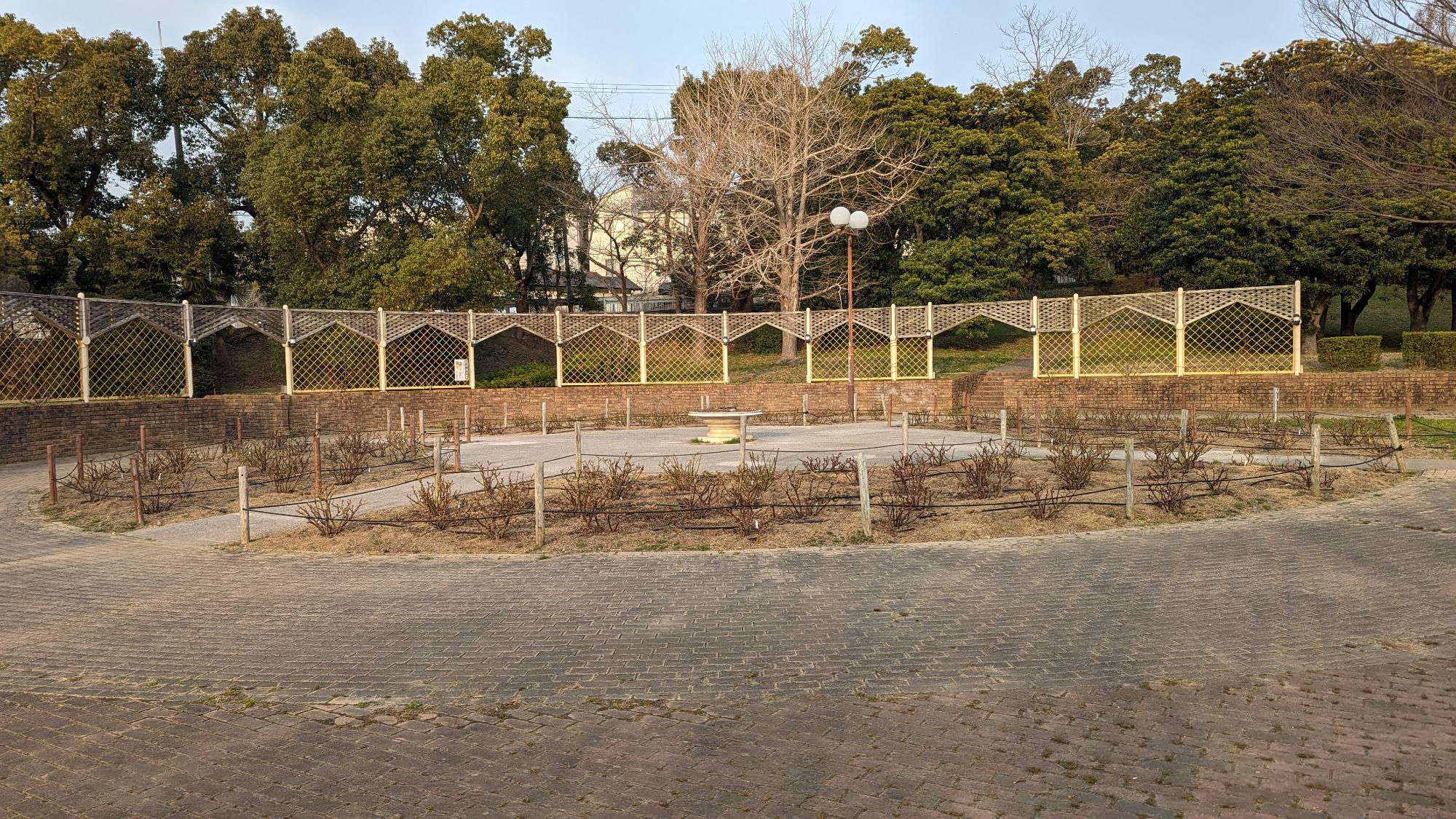 冬の様子1