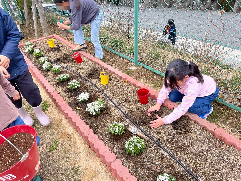 カンナを植えているこども会さん