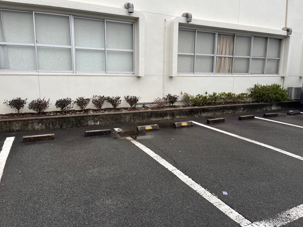 診療所にツツジが植わっている様子