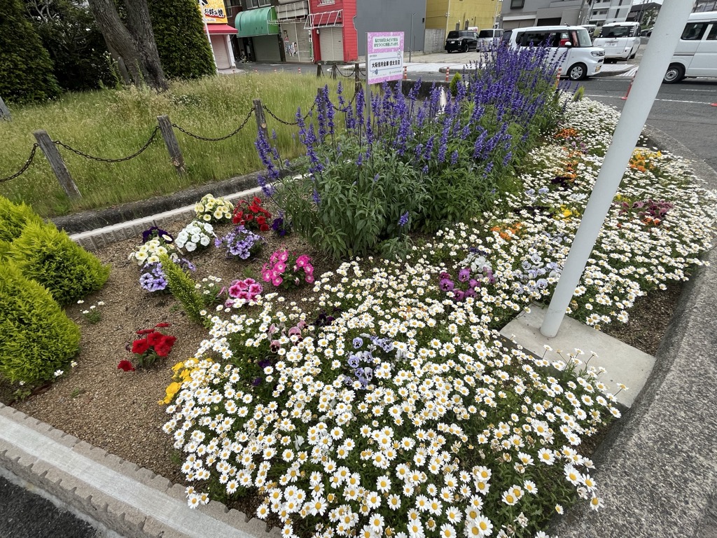 令和7年5月19日花壇の様子 全景