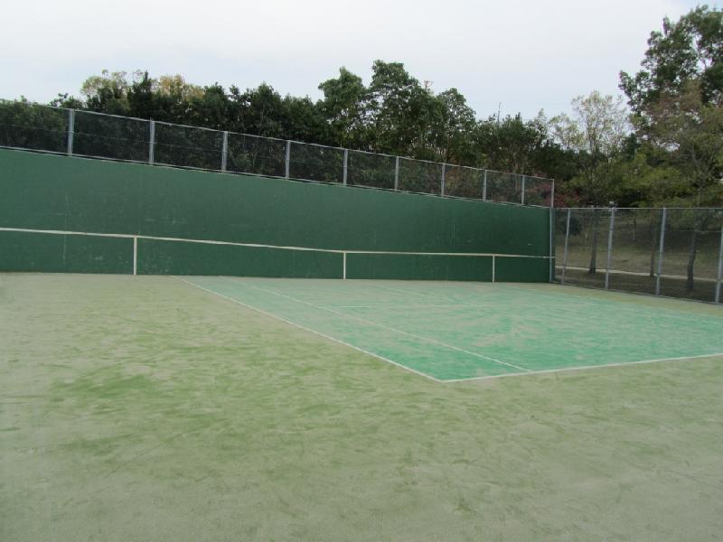 奥が森になっている高い壁の前にテニスコートを半面だけ設置したテニス壁打ち場の写真