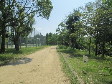 光明池緑地公園