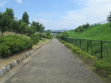 つくしの公園