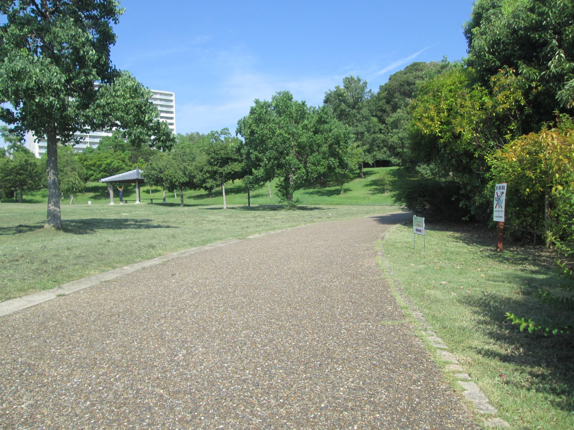 中央公園