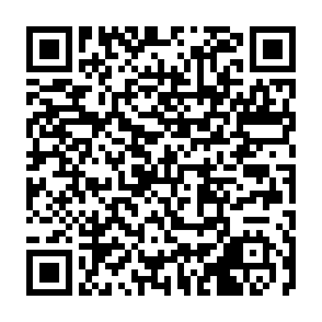 令和7年度自然観察会_申込用二次元コード