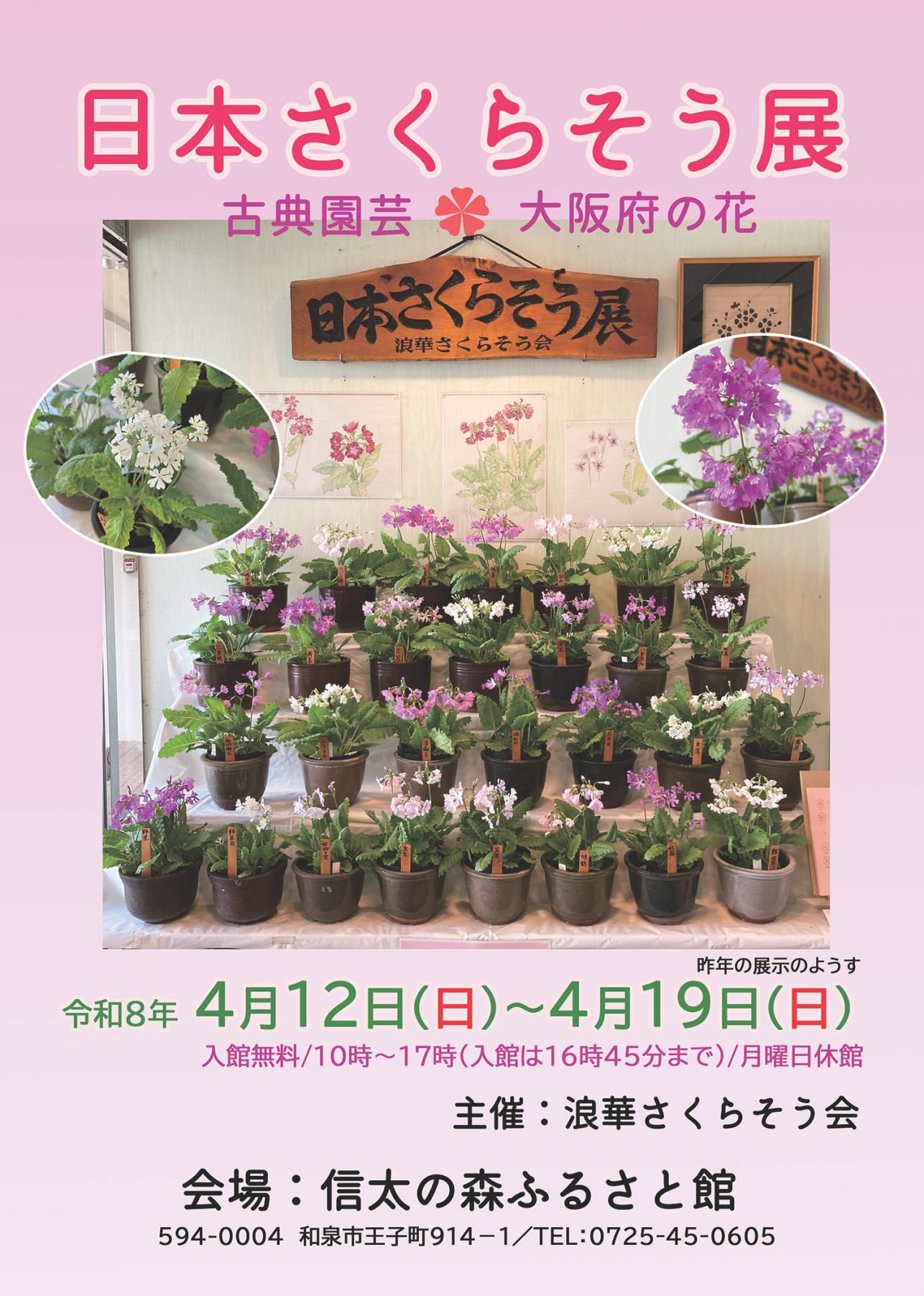 令和8年度日本さくらそう展_チラシ