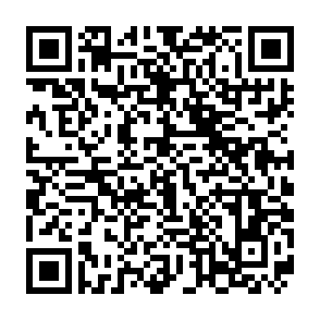 いずみ歴史ウォーク申込用二次元コード