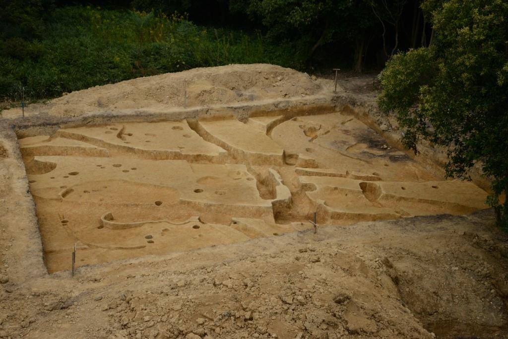 信太丘陵里山自然公園活動拠点施設建設に伴う発掘調査 全景写真