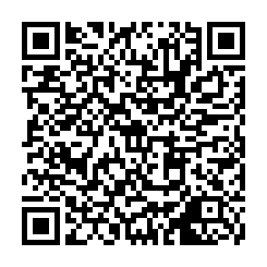 ツツジを楽しむ_申込用二次元コード