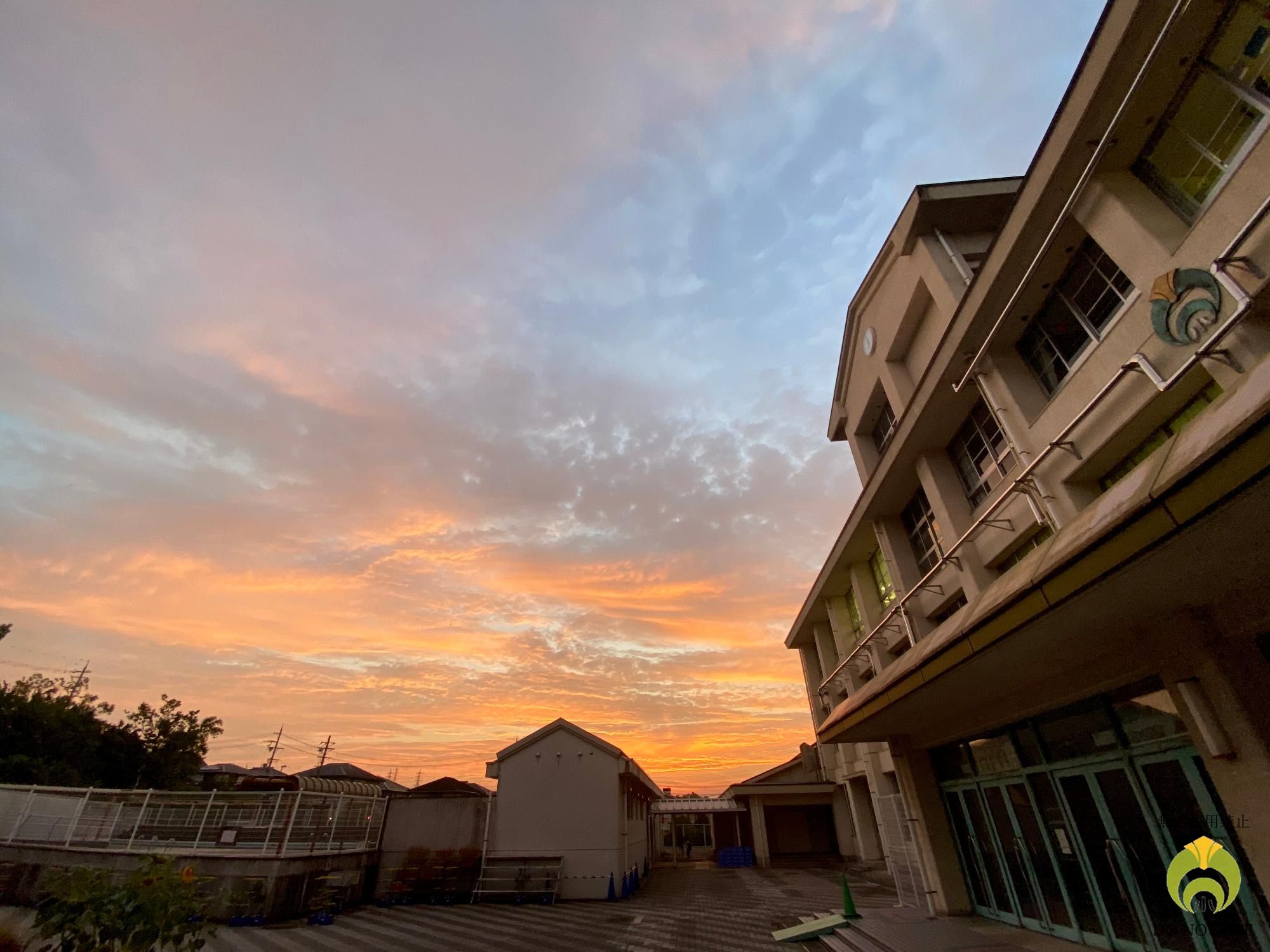 夕陽1
